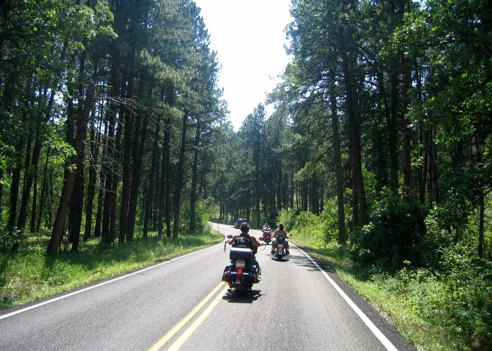 Motorcycle Riders riding through Black Hills in South Dakota